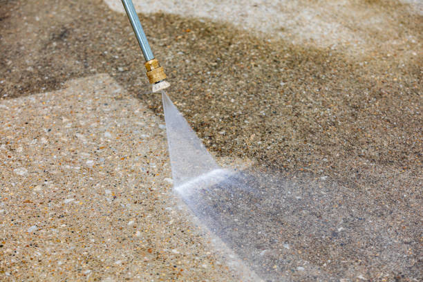 Best Building Exterior Washing  in St Charles, MN
