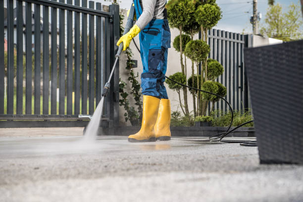 Best Driveway Pressure Washing  in St Charles, MN